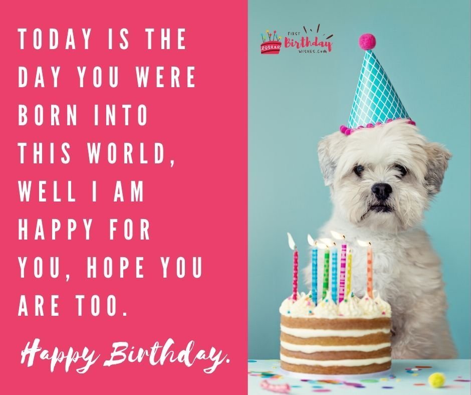 50+ Best Sarcastic Birthday Wishes | Funny Birthday Wishes