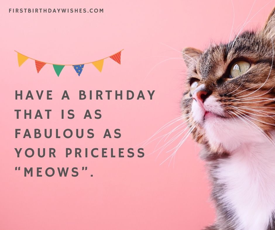 Birthday Wishes for Cat