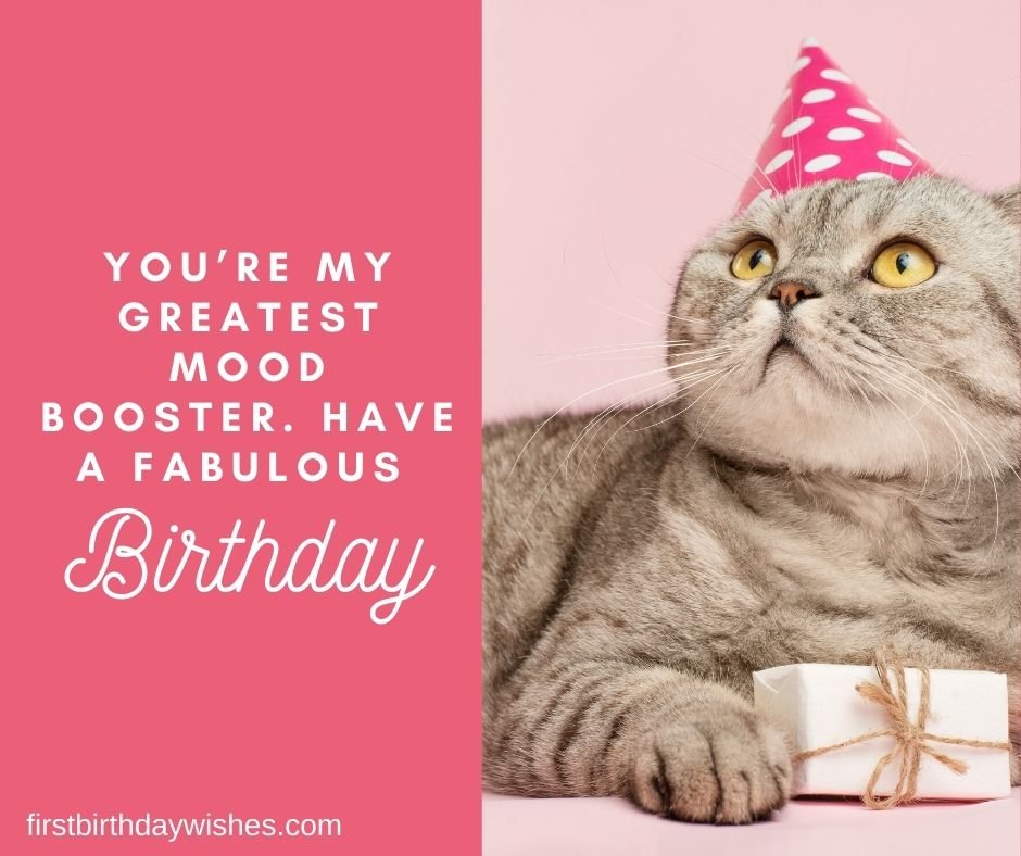 Best 200+ Birthday Wishes for Cat Happy Birthday, Kitty!