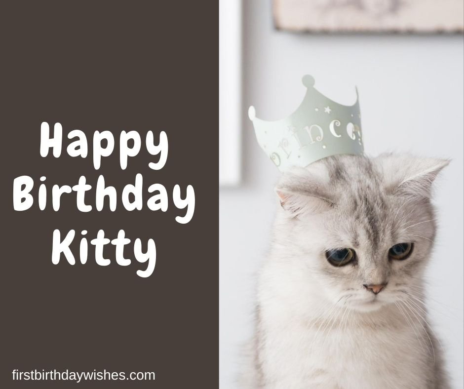 Birthday Wishes for Cat