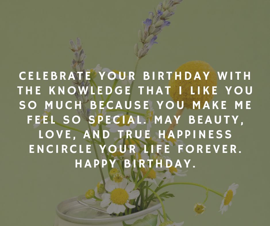 Sweet Birthday Wishes for Crush